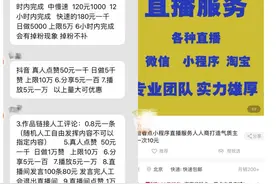 「独家调查」直播带货“隐秘角落”：15元可买100人气，记者付款后观看人数迅速上升图片