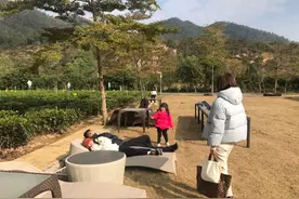 中山将迎来入冬以来最强冷空气图片