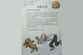 “我的狗狗还会回来吗？”广西一85岁老人手绘漫画寻找爱犬，背后故事令人动容……图片