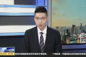 美国新冠病例继续上升  1/3美国人开始再次囤积必需品视频封面