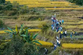 惠东角峰畲族村：用水不再难，袖珍梯田将成旅游新名片图片
