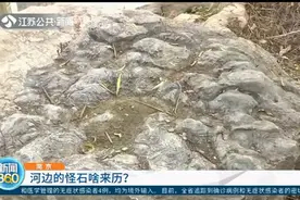 表面花纹十分奇特，有人说是化石，南京这河边怪石究竟啥来历？视频封面