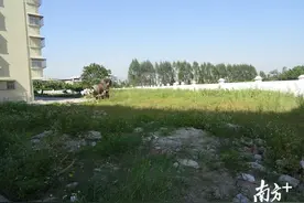 台山两宗商住地底价出让图片