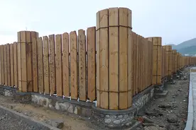 秦代有大量儿童奴隶，“爱护儿童”是近代观念——从秦简看儿童奴隶的境况图片
