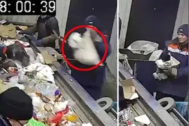 垃圾处理厂工人从传送带上救下猫咪 疑似被主人装进包裹丢弃图片