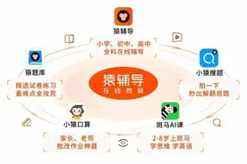猿辅导获马云旗下云锋基金3亿美元投资，今年融资35亿美元图片