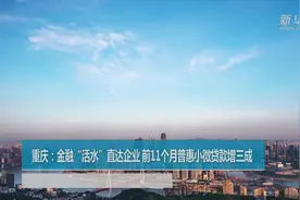 重庆：金融“活水”直达企业 前11个月普惠小微贷款增三成视频封面