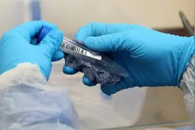 英国最大检测实验室暴发疫情图片