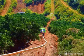 红河弥勒：山地果园运输车 果农增收“小助手”图片