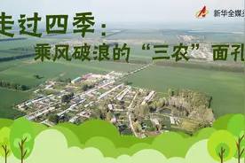 走过四季：乘风破浪的“三农”面孔图片