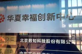 实地调查商誉爆雷：数知科技回应60亿减值超过44亿市值，称净利润可抵消部分金额图片