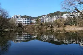 桃源社区的“世外桃源”回来了：告别毁林种菜，迎接新一届业委会图片