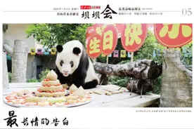 最长情的告白成“绝唱”图片
