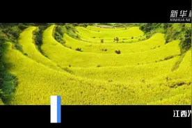 看，江西脱贫的“七彩色”！视频封面
