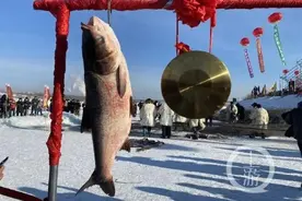 凿穿半米厚冰层捕鱼 黑龙江长岭湖67斤头鱼出水图片