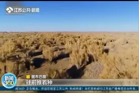 内蒙古：十八年，这对夫妻俩在沙漠种下4000亩梭梭树视频封面