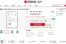 16亿元拍卖1.5万公顷海外土地，上架后又火速撤回，这家银行回应：非我行抵债资产，感到很奇怪图片
