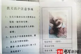 泰迪宠物店内被阿拉斯加咬死，主人为她办理“身后事”后怒讨精神损失费图片