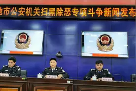 河池三年端掉黑恶团组156个，扫黑除恶成效位于区内前列图片