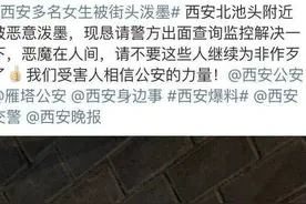 西安多名女性被街头泼墨，“泼墨男”被抓后交代：被他人谩骂产生报复心理图片