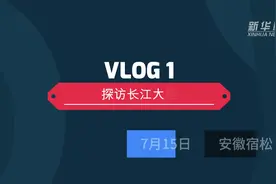 我的2020｜淹不死的杞柳，人们称作“希望”图片