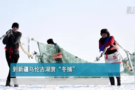 到新疆乌伦古湖赏“冬捕”视频封面