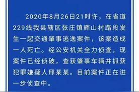 临沂12岁女孩为父追凶最新进展：嫌疑人抓获归案图片