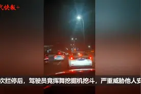 挖掘机开进市区，疯狂撞警车还乱挥挖斗图片