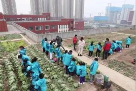 小学在教学楼顶开辟土地让学生种菜：让孩子们学会珍惜粮食视频封面