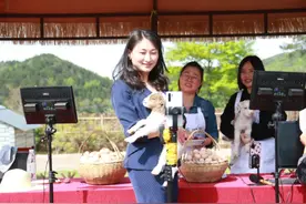 直播带货的80后女副县长唐翔：有同事提醒我，怕我引起负面舆论图片