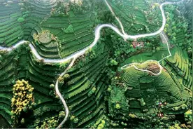 山重水复终有路——重庆现代山地特色高效农业观察图片