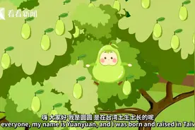 台湾历史动画片｜圆圆寻亲历险记一：生命初成图片