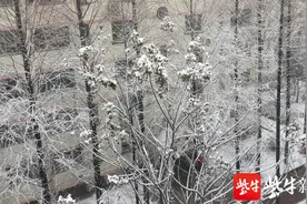「视频」雪花纷纷飘落，温度降至-10℃ 宿迁闻“雪”而动图片
