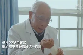 一粒种子可以改变什么视频封面