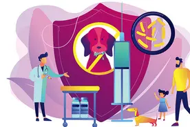 每年约4000万人被猫狗咬伤！急诊专家教你预防狂犬病视频封面