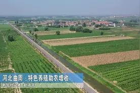 河北曲周：特色养殖助农增收视频封面