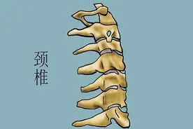 经常性手麻手痛，多半是五种疾病在作怪图片