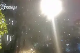 上海下雪了！上海嘉定发布暴雪蓝色预警视频封面
