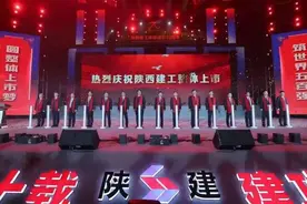 陕建集团“整体上市”冲刺世界500强图片