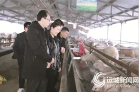 夏县女大学生“羊倌”姜鑫鑫为社员分红图片