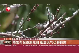 安徽：多地降雪  暴雪蓝色预警发布视频封面