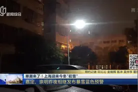 寒潮来了！  上海迎来今冬“初雪”：嘉定、崇明昨夜相继发布暴雪蓝色预警视频封面