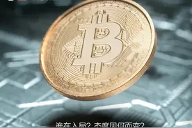比特币暴涨背后的“巨鲸”图片