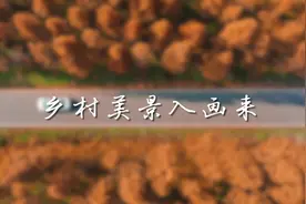 年终专稿|乡村美景入画来视频封面