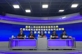 最高法副院长：坚决防止以刑事案件名义插手民事经济纠纷图片