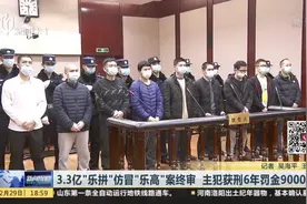 3.3亿“乐拼”仿冒“乐高”案终审  主犯获刑6年罚金9000万视频封面