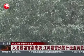 入冬最强寒潮来袭  江苏暴雪预警升级至黄色视频封面