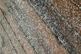 “头皮雪”非雪而是霰？成都下雪为啥这么难？权威解答来了图片