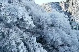 寒潮来袭福建金饶山迎来降雪，银装素裹成冰雪世界视频封面