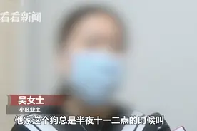 新房当狗舍？半夜叫不停，业主投诉却吃“闭门羹”：闹闹很正常图片